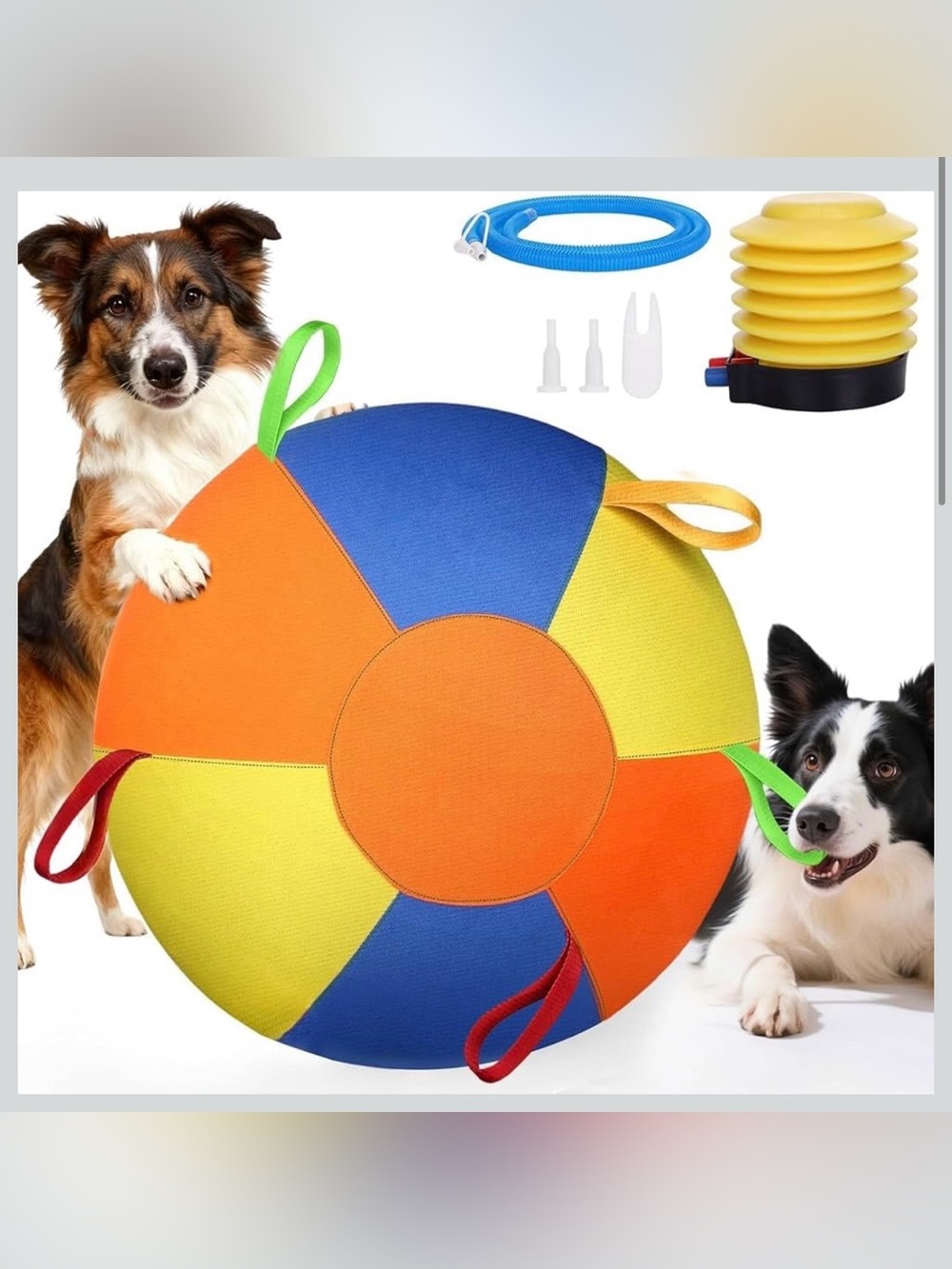 Colorful Dog Tug & Fetch Disc - Orange Blue Yellow
